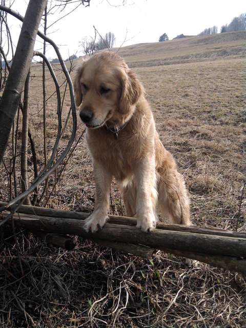 Ohh SPANNEND