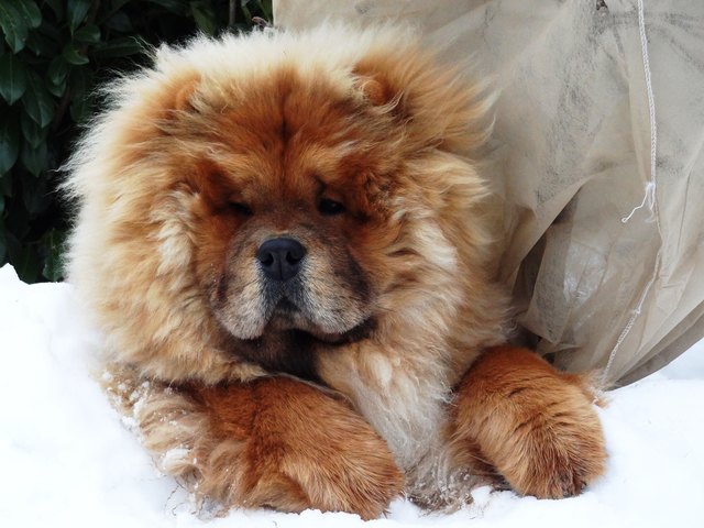 Der Winter ist meine Zeit!