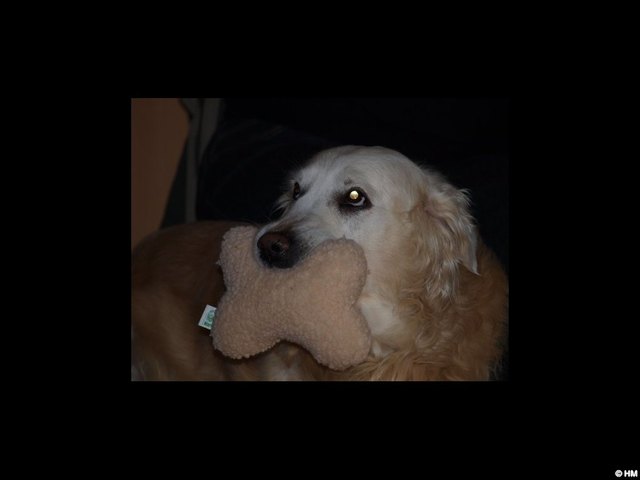 Aber heut is doch Weihnachten :) RIP Sam