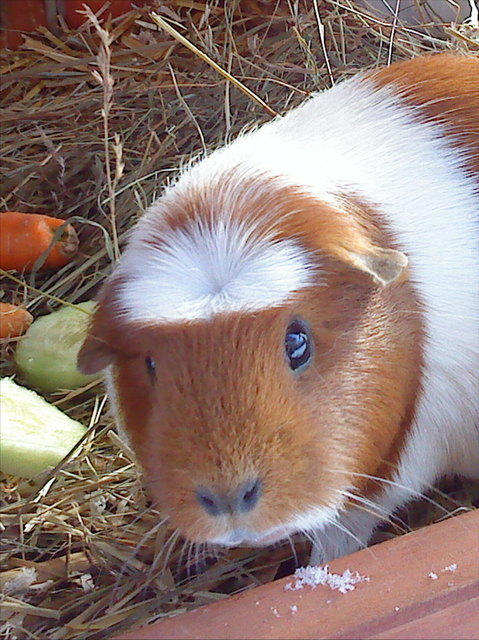 Lucy: Hey, was geht?