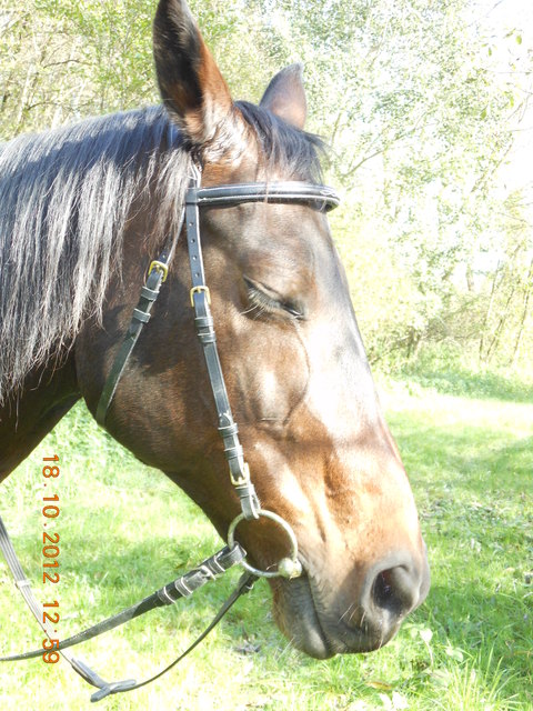 Ach, tut die Sonne gut