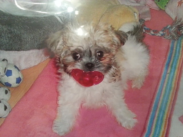 mein baby