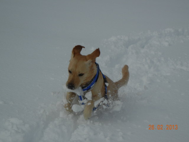 Laura liebt den Schnee