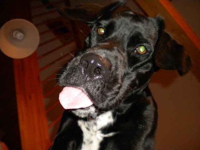 unser Diego