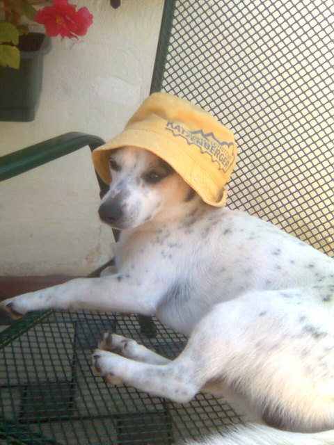 Snoopy :)