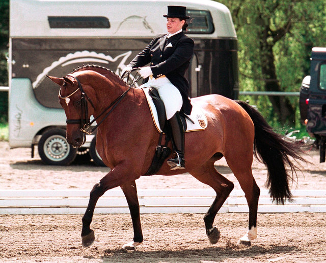 Eva-Maria Aufrecht auf der Trakehnerin Ira. | Foto: Jan Reumann