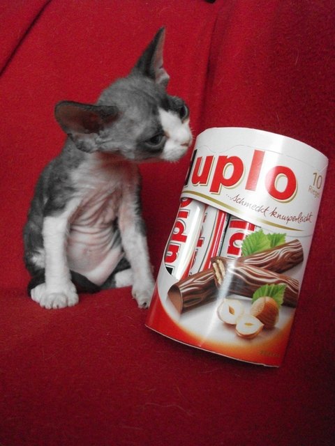 Duplo & Duplo ;-))))