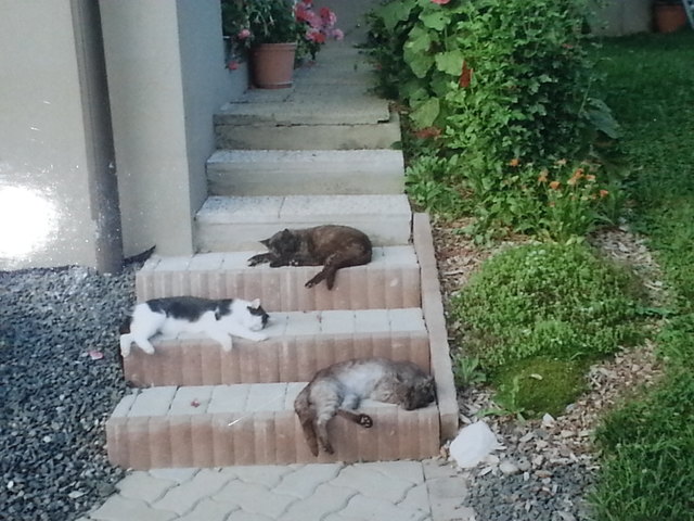 Sind alle 3 schon sehr müde :)