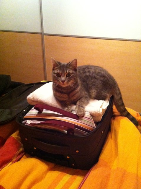 Ich will mit!!