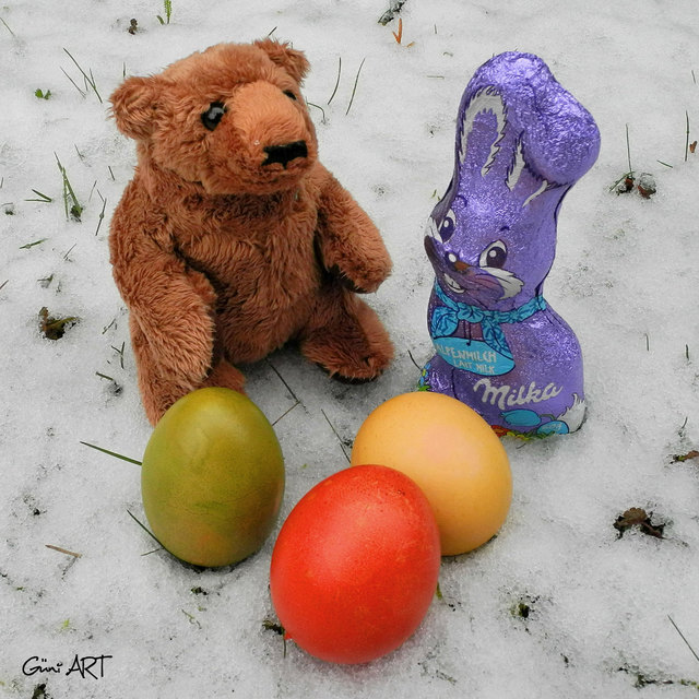 Eddy beim Eier suchen. FOTO: Güni ART