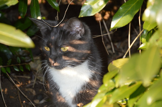 Was hat Roxy denn da schon wieder entdeckt?