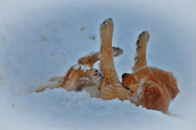 *plumps* dabei wollte ich mich nur putzen... :-)