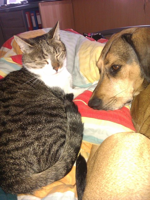 Best friends