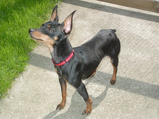Unsere Xenia liebt die Sonne!