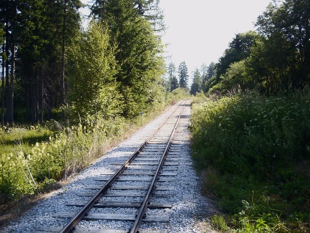 Bahngleise der Murtalbahn bei Steindorf-Moos