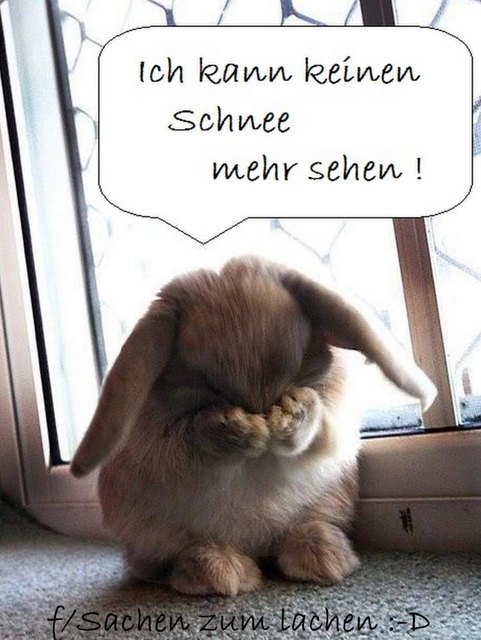 Wo is da Frühling ???? | Foto: Bildergalerie