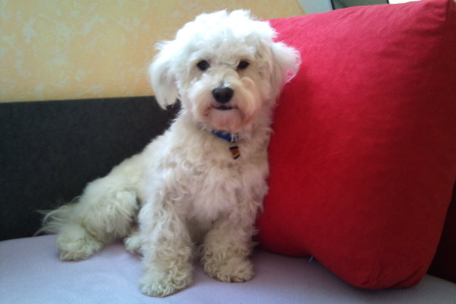 Charly