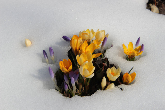 Dieser Schnappschuss von unserer Regionautin Adele Sansone spiegelt sehr gut unser derzeitiges Frühlings-Wetter.