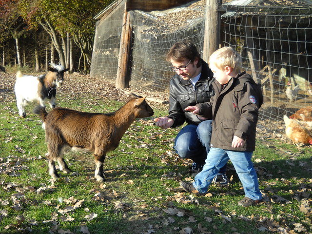 Klein Timo mit Papa und Ziege
