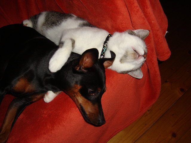Cindy & Floh lieben sich.....