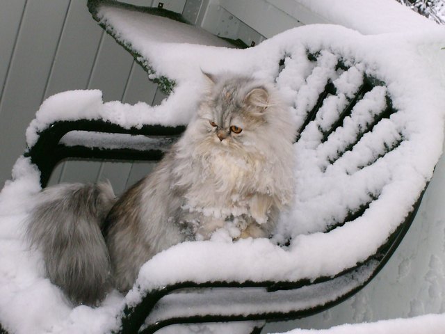 mina im Schneetreiben