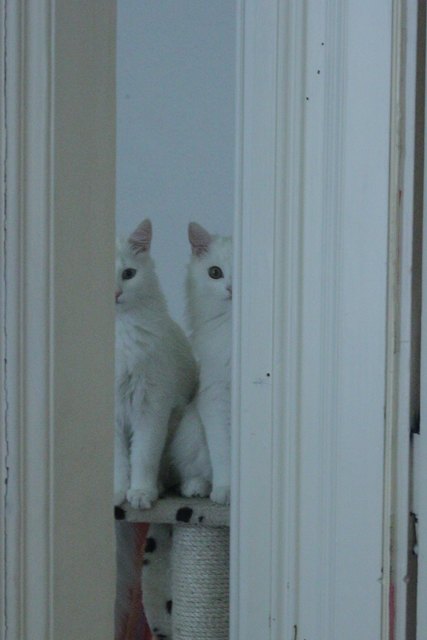 (K)Ein Spiegelbild