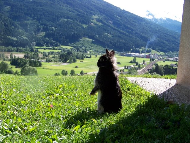 Mein kleiner Schatz genießt die Aussicht