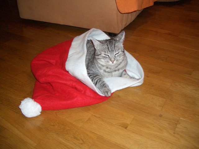 ich liebe es mich zu verstecken