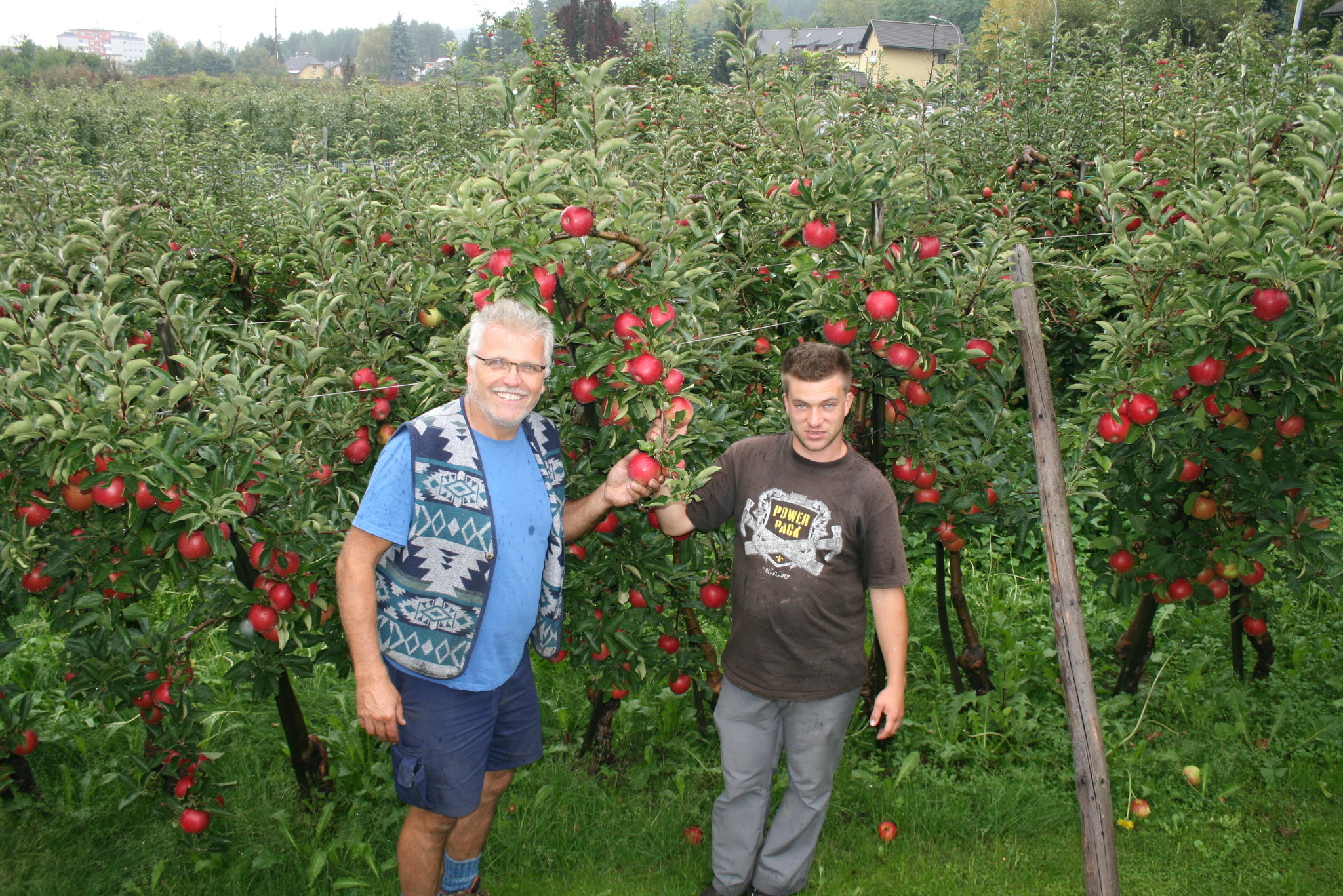 Der Obstbau verzögert sich aufgrund der Witterung Villach