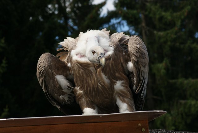 Zum Abflug bereit.