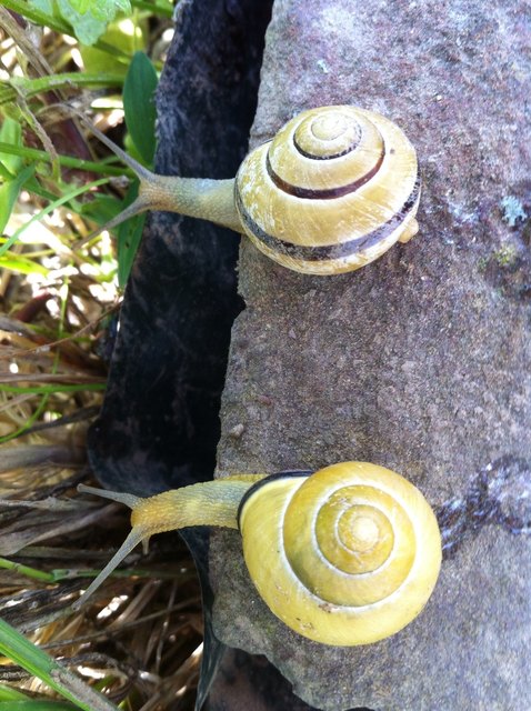 Wer springt zuerst?