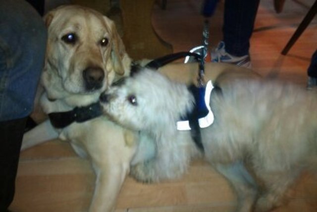 charly und freund