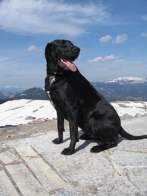 auf den Berg