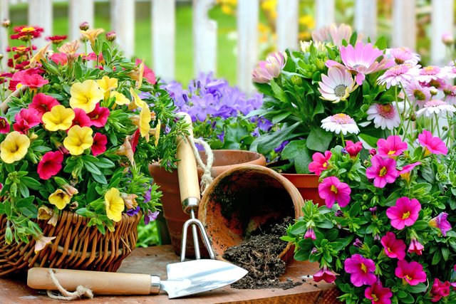 Foto: S. Körber/Fotolia