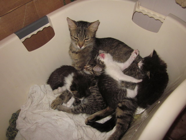 Beim Kuscheln mit Mama Bella