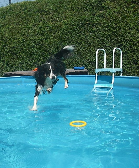 Ab ins Pool!