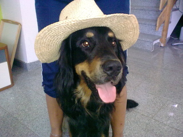 Moritz