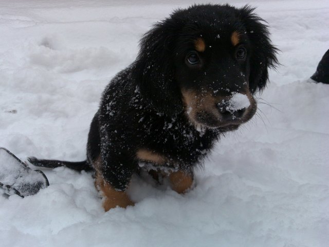 Mein erster Winter