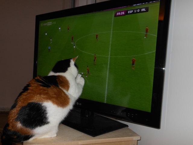 Frou Frou liebt Fussball !!!
