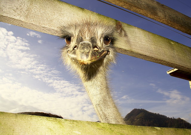 ...hier gibt´s was zu gewinnen?...da mach ich auch mit!