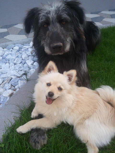Nelly & Gina