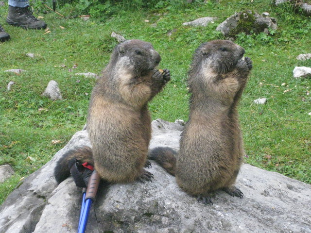Das schmeckt lecker!!
