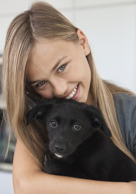 Seit 2010 müssen Hunde gechippt und auch registriert werden. | Foto: Foto: MEV Verlag