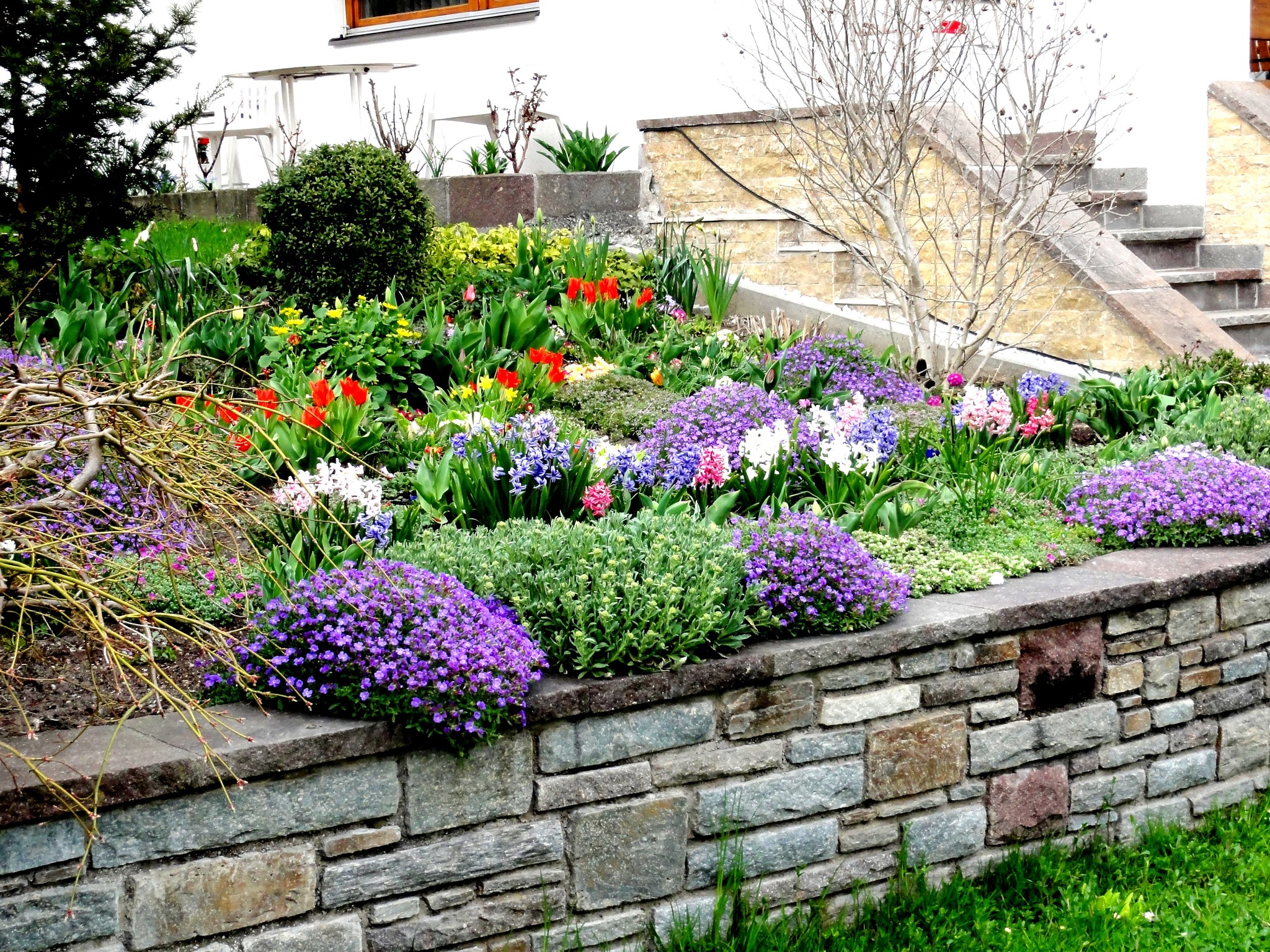 Blumengarten im Frühling - Hall-Rum