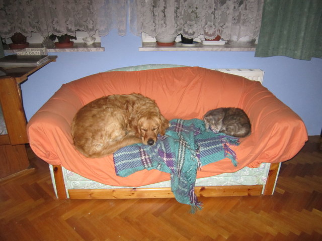 Ajka und maxi beim Mittagsschlaf
