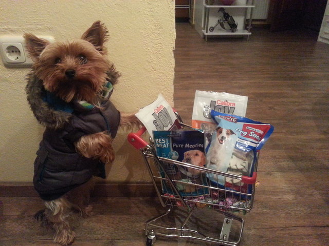Lira im Kaufrausch ;) -->Shopaholic :) Ich bevorzuge das Singleleben "alles Meins!"