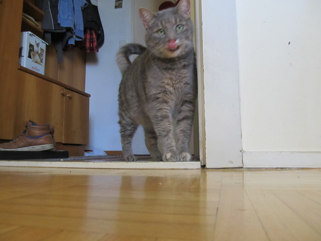 Amy *-*