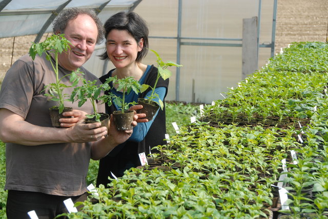 Jungpflanzenfest am Samstag,  27. April, und Sonntag, 28. April, von 10 bis 18 Uhr am Bio-Betrieb von Margit und Josef Mayr-Lamm in Allhaming. | Foto: Mayr-Lamm