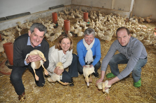 arl Liebetegger, Herta Taferner, Irmgard Liebetegger und Hans Taferner (von links) in den Stallungen am Lindlhof