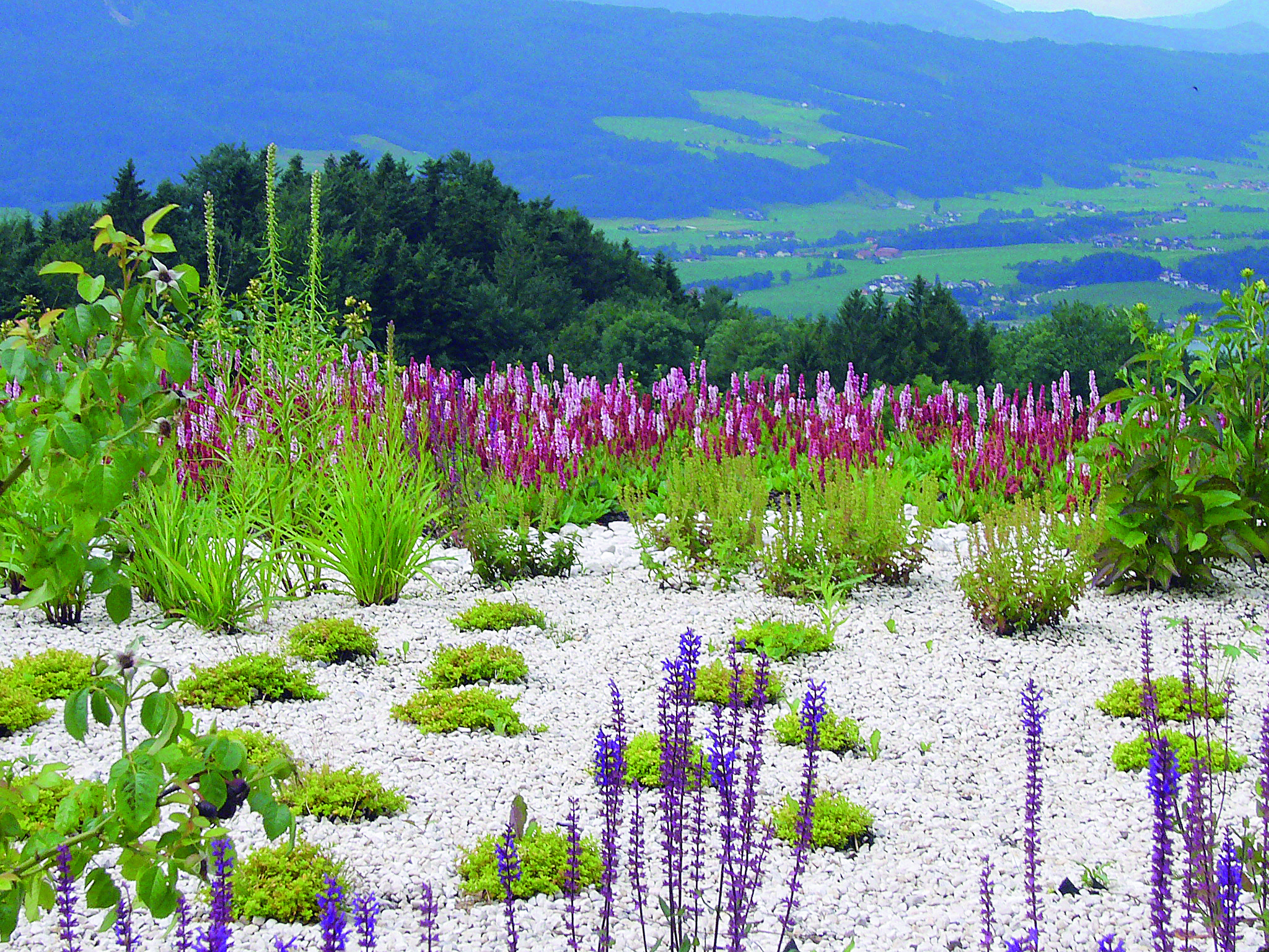 Garten als Wohnzimmer im Freien - Vöcklabruck